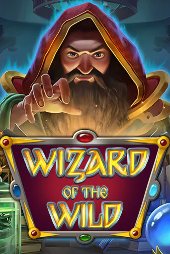 Wizard of the Wild демо слот играть онлайн | JoyCasino Online бесплатная игра